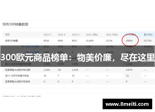 300欧元商品榜单：物美价廉，尽在这里